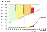 Lactate Threshold Test Results